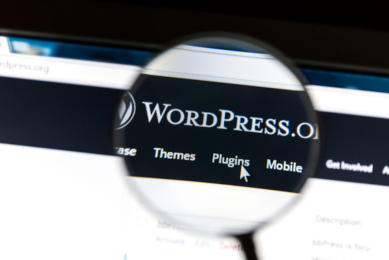 WordPress Plugins